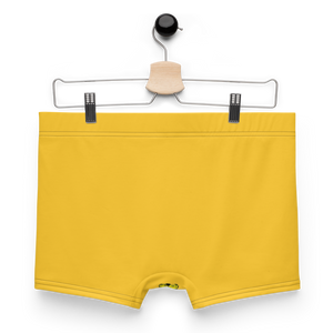 check Clean Cash Boxer Briefs